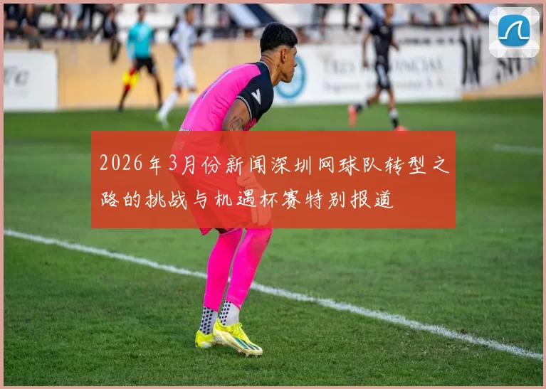 2026年3月份新闻深圳网球队转型之路的挑战与机遇杯赛特别报道